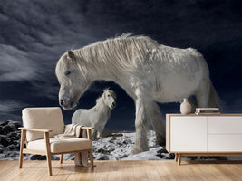 photo-wallpaper-partners-x