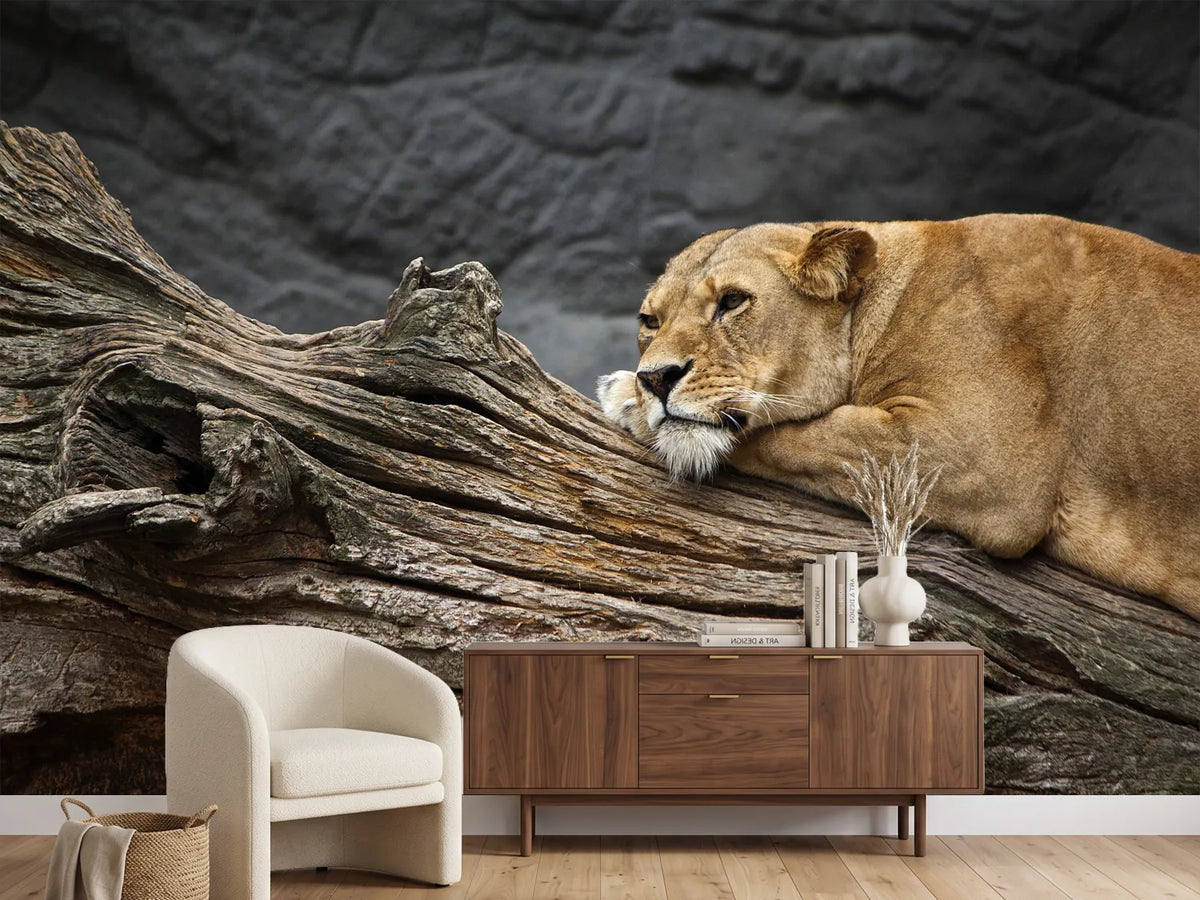 photo-wallpaper-dreaming-lioness