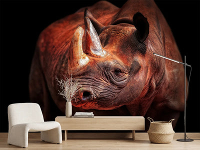 photo-wallpaper-rhino-posing-x