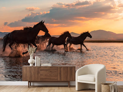 photo-wallpaper-water-horses-x