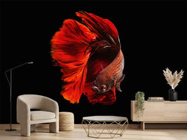 photo-wallpaper-the-red