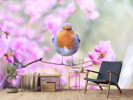 photo-wallpaper-spring-bird