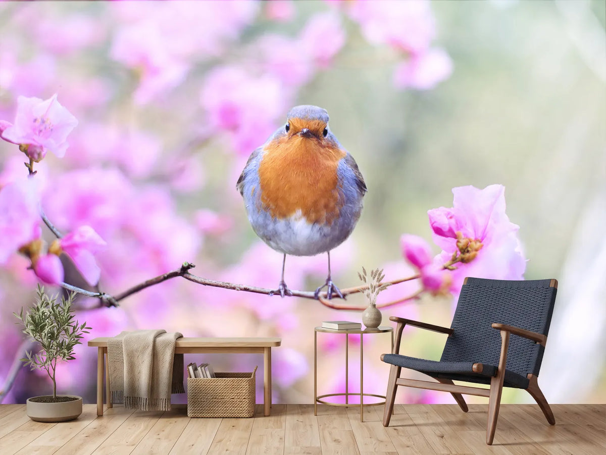 photo-wallpaper-spring-bird