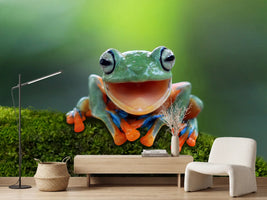 photo-wallpaper-tree-frog-flying-frog-laughing