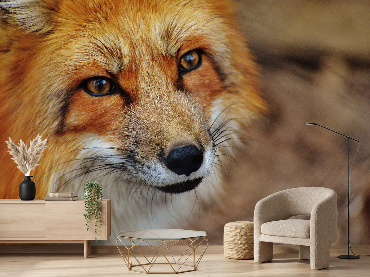 photo-wallpaper-the-fox
