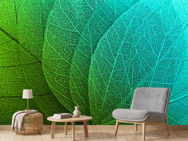 photo-wallpaper-macro-leaves-background