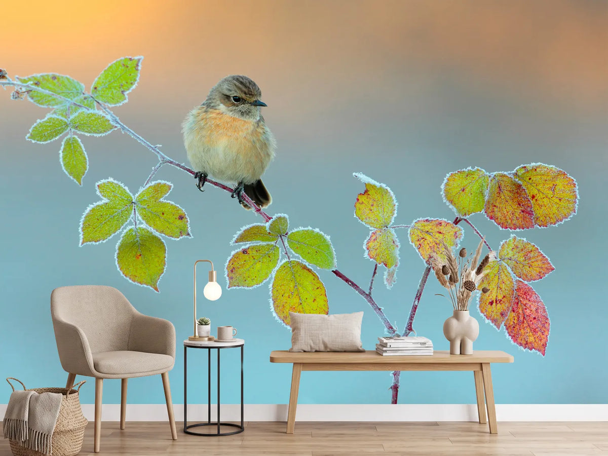 photo-wallpaper-winter-colors