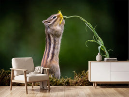 photo-wallpaper-squirrel-with-a-flower