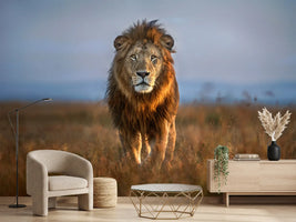 photo-wallpaper-lion-close-up-x