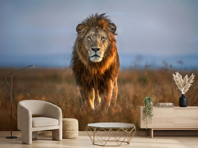 photo-wallpaper-lion-close-up-x