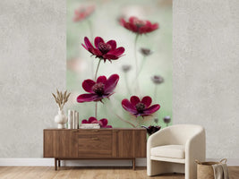 photo-wallpaper-cosmos-sway-x