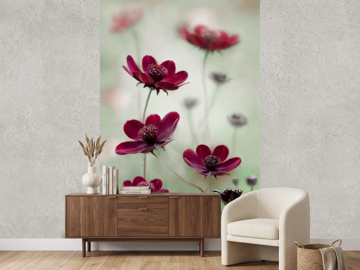 photo-wallpaper-cosmos-sway-x
