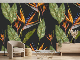 photo-wallpaper-exotic-bird-of-paradise