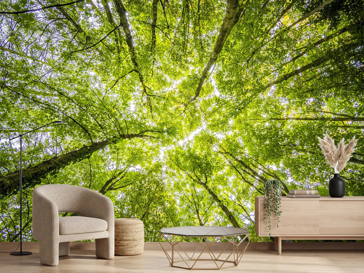 photo-wallpaper-under-the-treetops