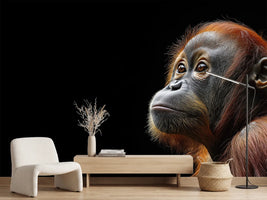 photo-wallpaper-young-orangutan-in-profile-against-deep-black