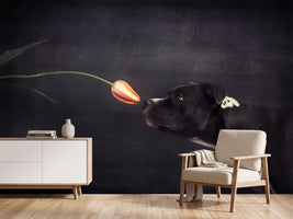 photo-wallpaper-first-approach-hildegard-and-the-tulip