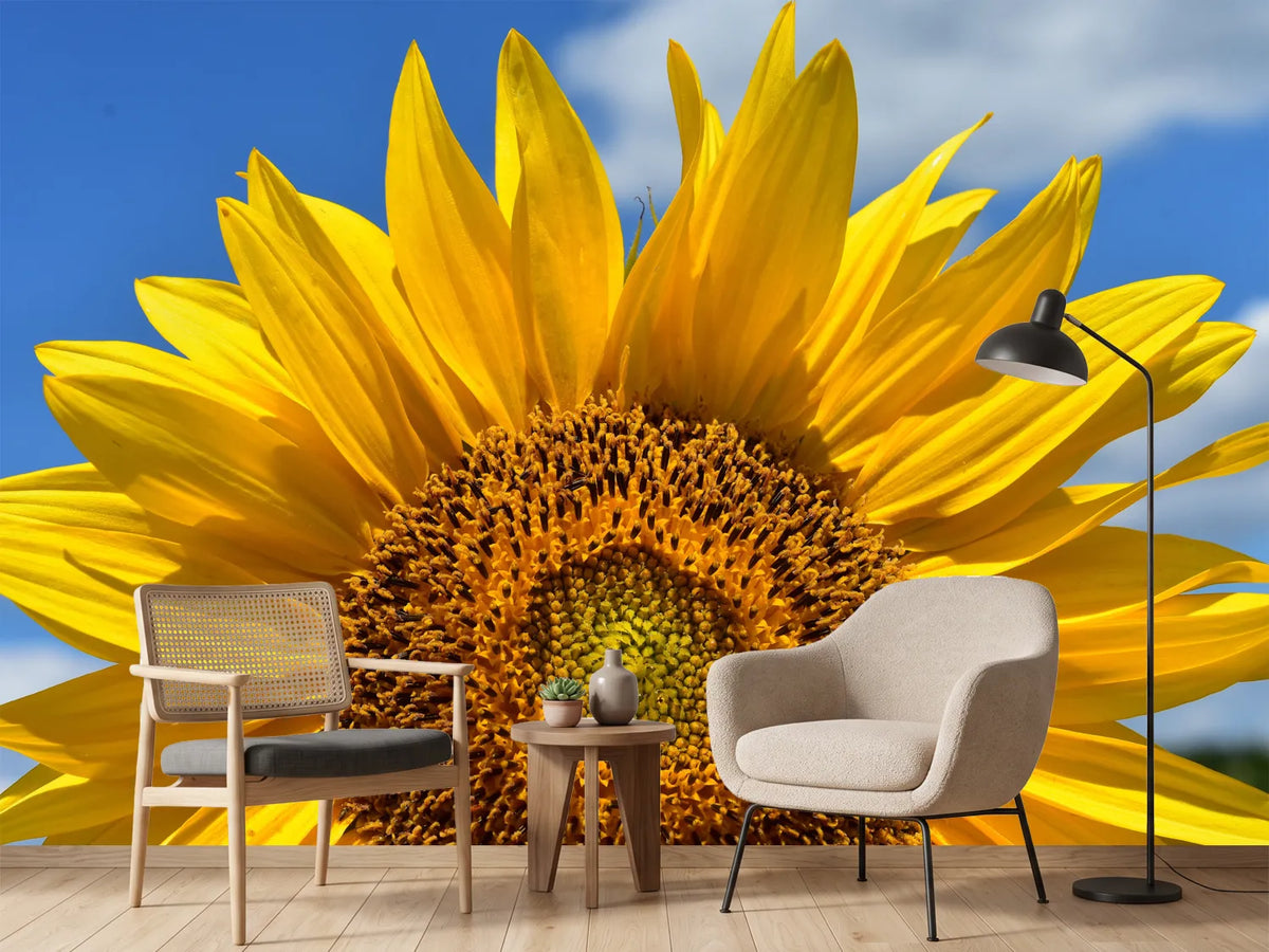 photo-wallpaper-sunflower-in-xxl