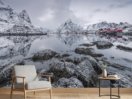 photo-wallpaper-reine-x