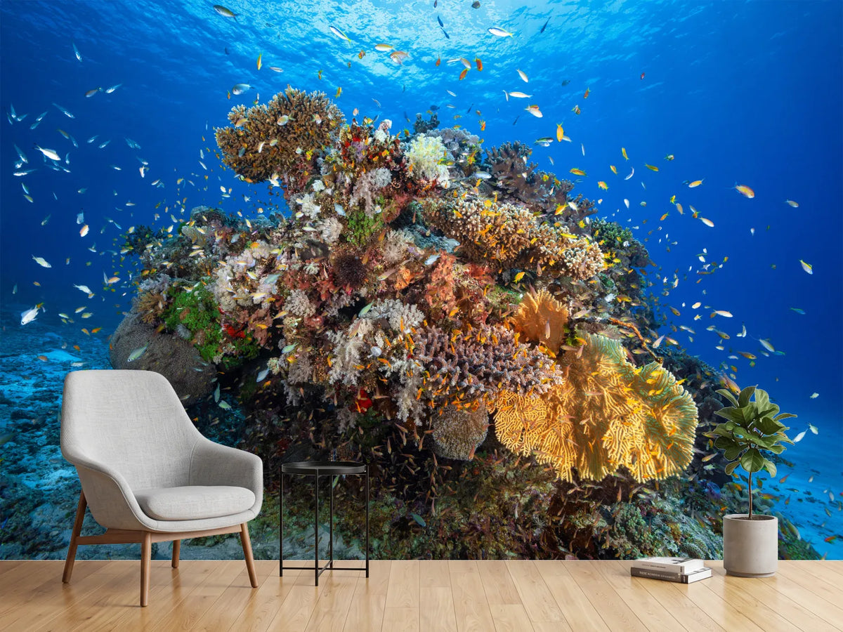 photo-wallpaper-underwater-biodiversity-x