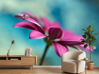 photo-wallpaper-pattern-drop