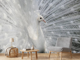 photo-wallpaper-as-white-as-snow