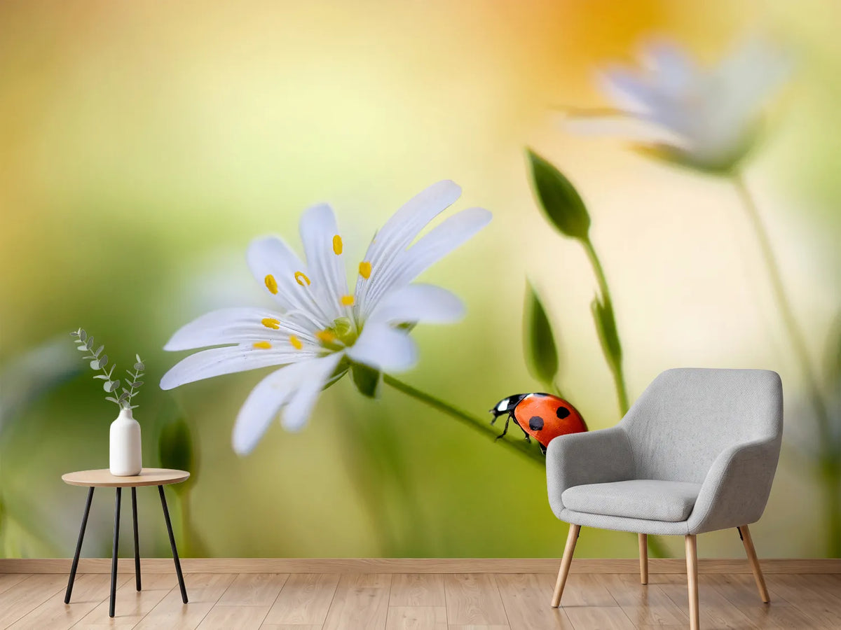 photo-wallpaper-summer-beauties-x