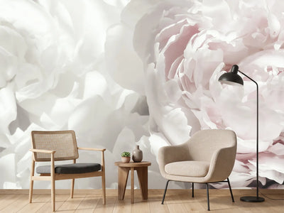photo-wallpaper-soft-pink-peonies