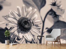 photo-wallpaper-bees-on-the-sunflower-sw