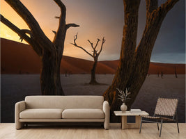 photo-wallpaper-dead-trees-desert-sunset