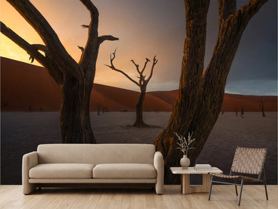 photo-wallpaper-dead-trees-desert-sunset