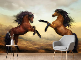 photo-wallpaper-two-wild-horses