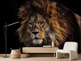 photo-wallpaper-portrait-of-a-lion