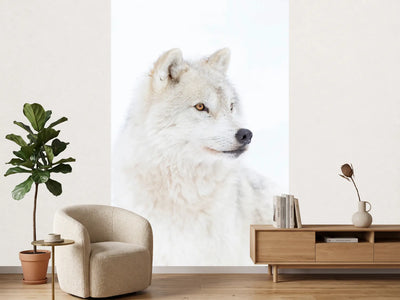 photo-wallpaper-portrait-of-an-arctic-wolf-x