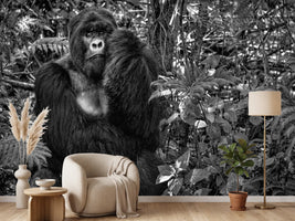 photo-wallpaper-kwitonda-silverback