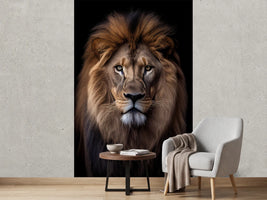 photo-wallpaper-front-view-portrait-of-a-lion-on-black-background-africa-wildlife
