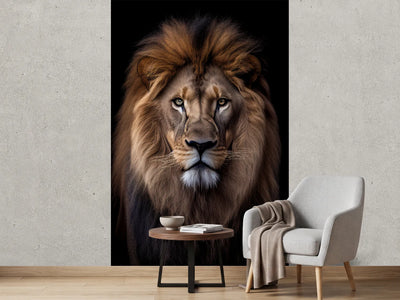 photo-wallpaper-front-view-portrait-of-a-lion-on-black-background-africa-wildlife