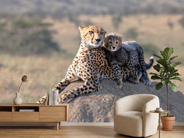 photo-wallpaper-cheetah-and-cup-x