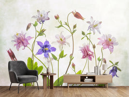 photo-wallpaper-columbine
