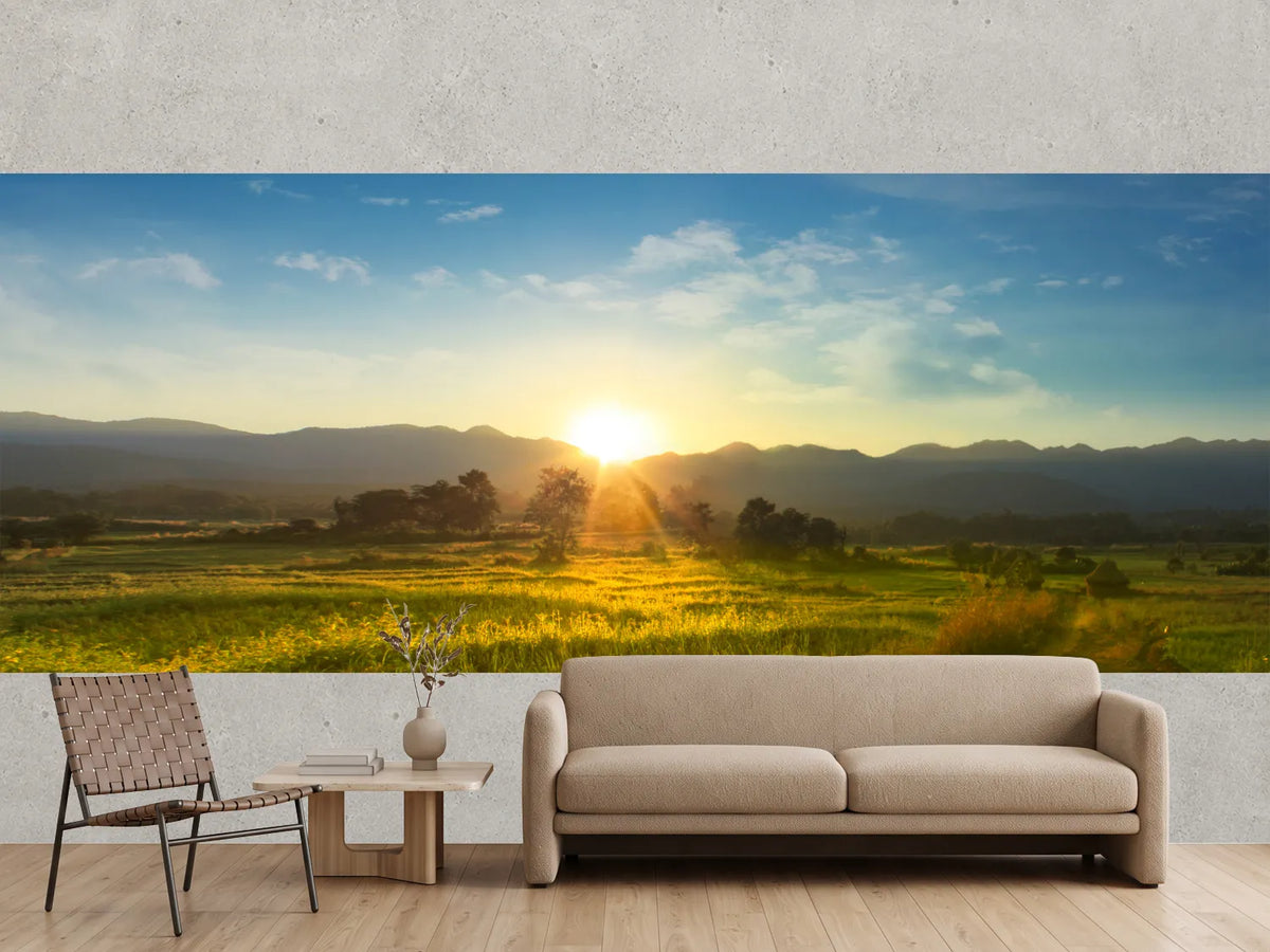 photo-wallpaper-sunset-over-vast-blossoming-meadow-landscape