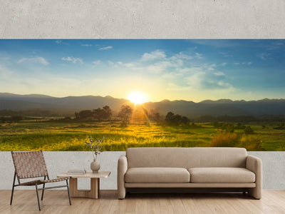 photo-wallpaper-sunset-over-vast-blossoming-meadow-landscape