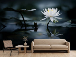 photo-wallpaper-reflection-xkq