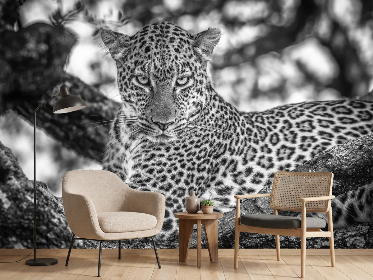 photo-wallpaper-monochrome-beauty-x