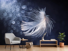 photo-wallpaper-ethereal-feather-light