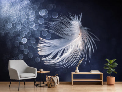 photo-wallpaper-ethereal-feather-light
