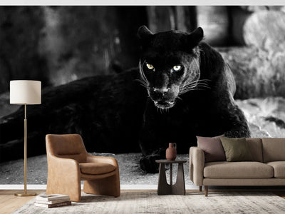 photo-wallpaper-large-black-panther