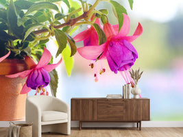 photo-wallpaper-the-fuchsias