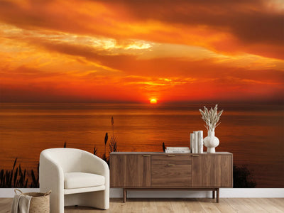 photo-wallpaper-peaceful-evening-mood-by-the-sea
