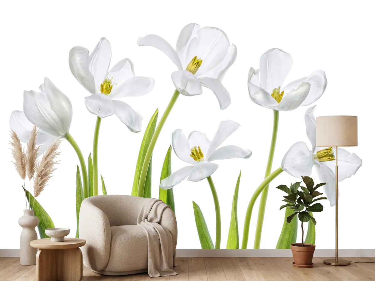 photo-wallpaper-white-tulips-x