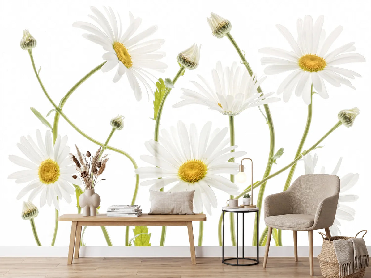 photo-wallpaper-ox-eye-daisies