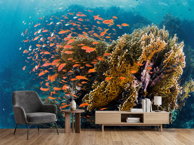 photo-wallpaper-reefscape-x